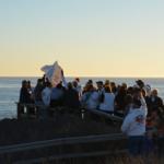 Cambria_0207 (November 03, 2012)